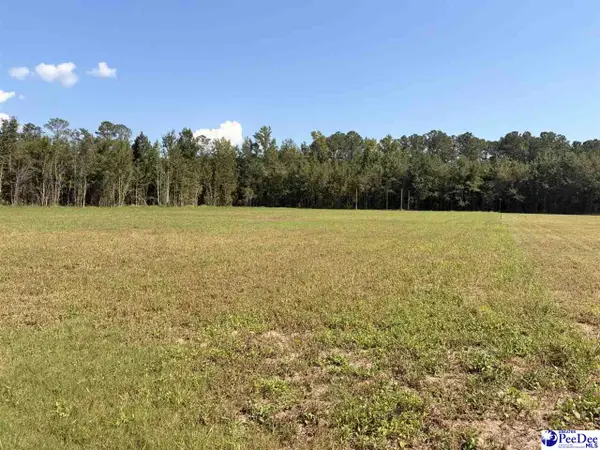1420 Kelley Rd., Olanta, SC 29114