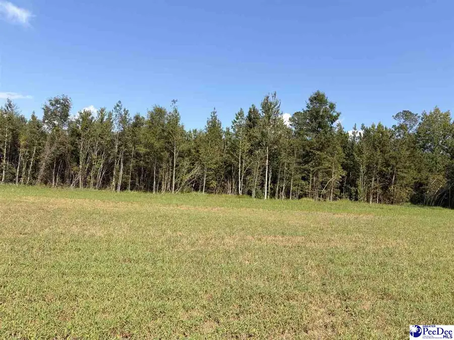 1420 Kelley Rd., Olanta, SC 29114 - #2