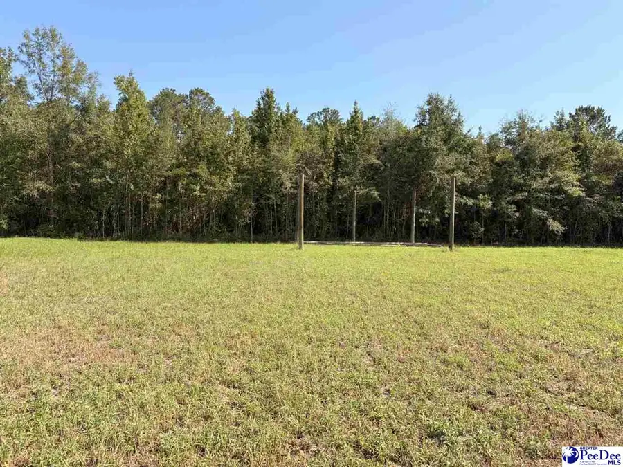 1420 Kelley Rd., Olanta, SC 29114 - #3