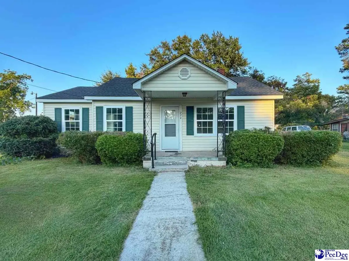 224 Stewart Street, Dillon, SC 29536 - #1