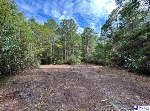 000 Hwy 52, Cheraw, SC 29520