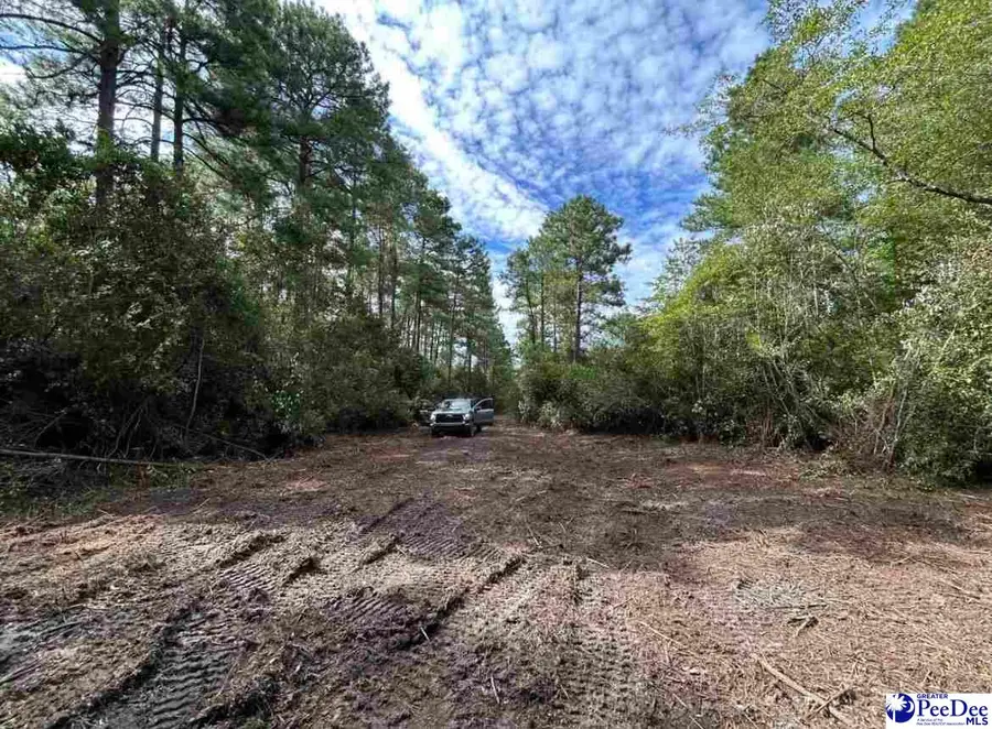 000 Hwy 52, Cheraw, SC 29520 - #2