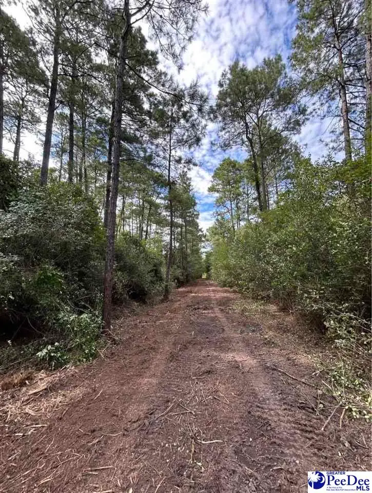 000 Hwy 52, Cheraw, SC 29520 - #3