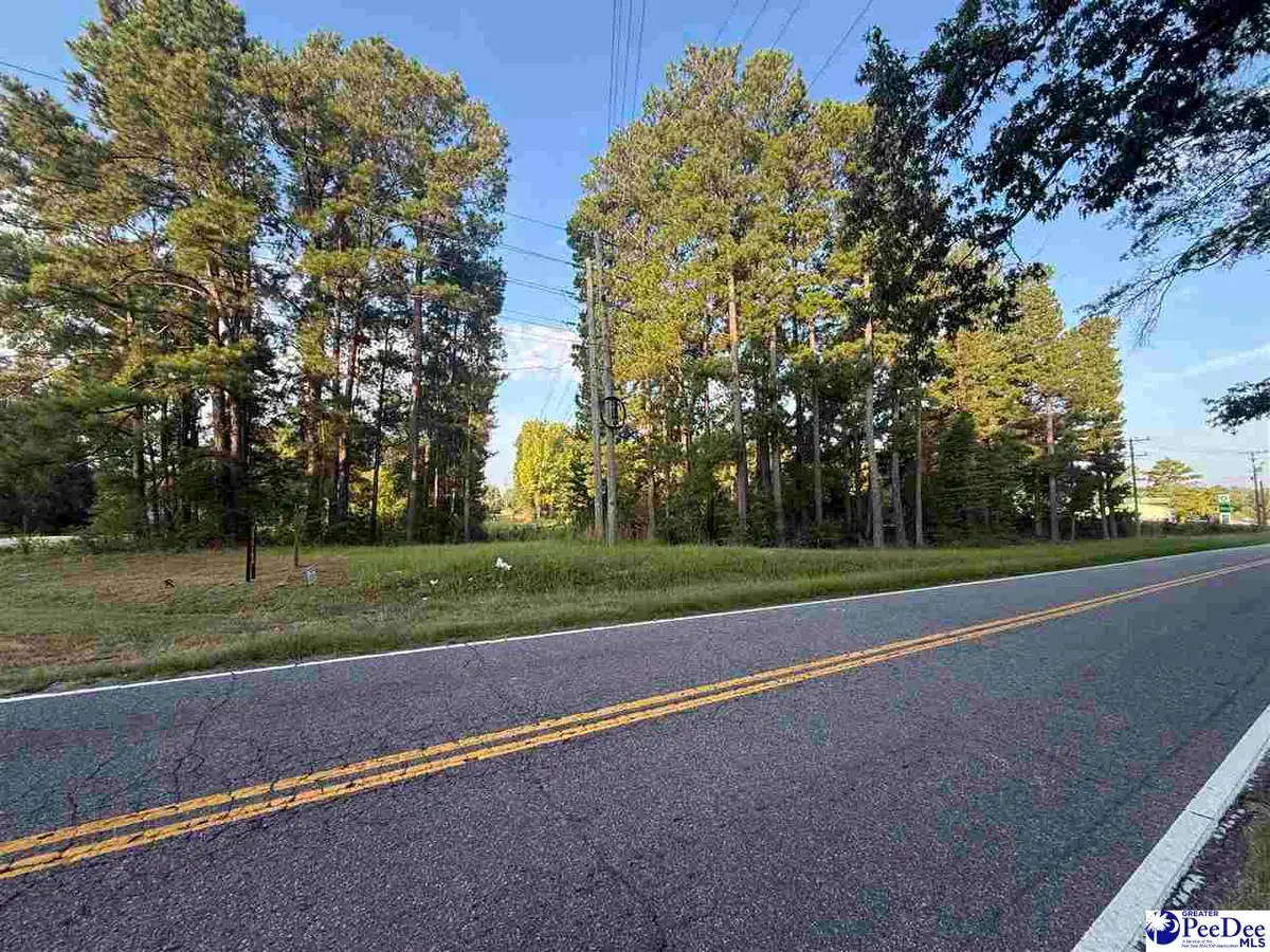 Lot 3 Hunts Mill Road, Cheraw, SC 29520 - #1