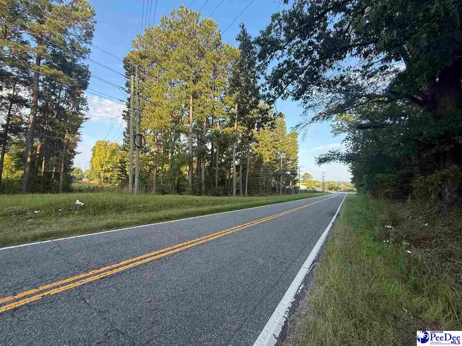 Lot 3 Hunts Mill Road, Cheraw, SC 29520 - #2