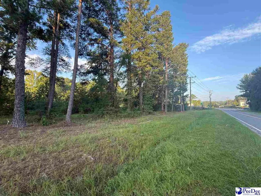 Lot 3 Hunts Mill Road, Cheraw, SC 29520 - #3