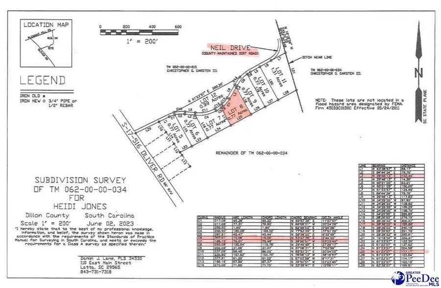 Lot 8 Neil Drive, Hamer, SC 29547 - #3
