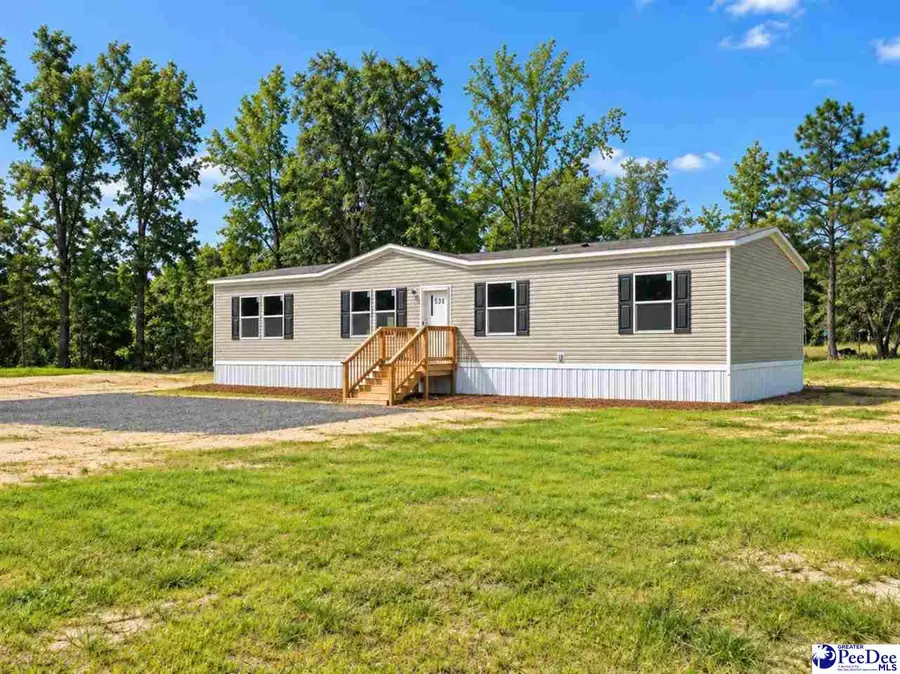 5309 Meadow Prong Rd, Effingham, SC 29541 - #2