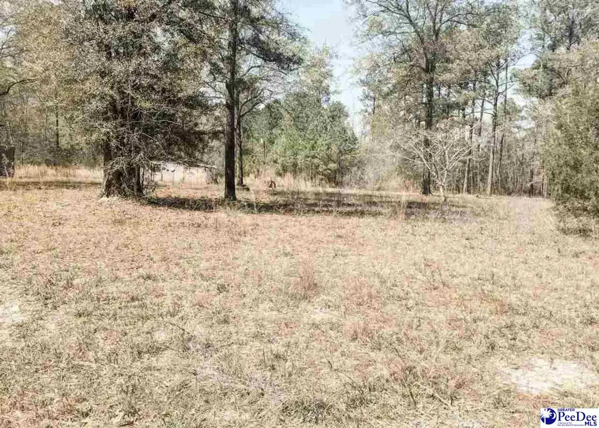 6325 Cartwheel Road, Mullins, SC 29574 - #1