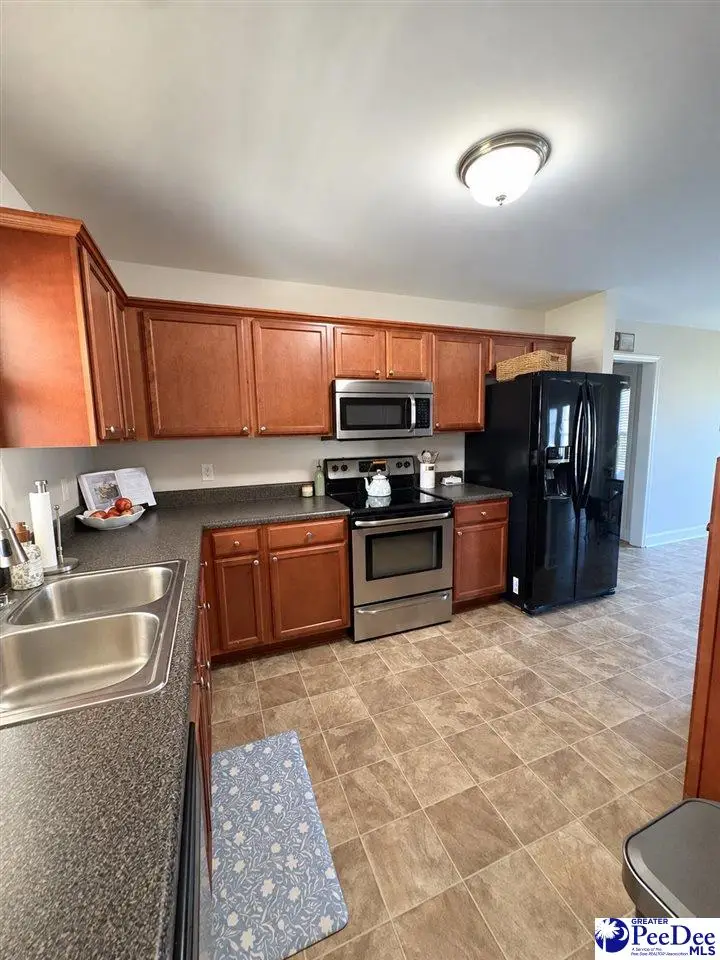 909 Orion Hills Court, Effingham, SC 29541 - #2