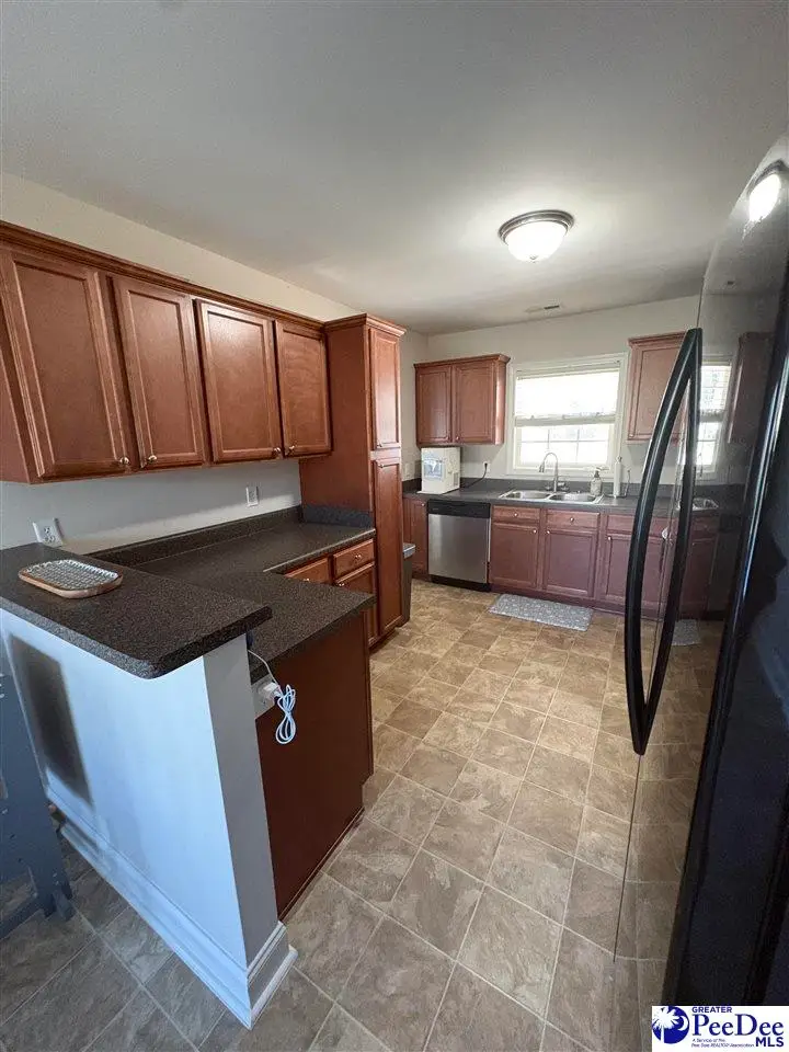 909 Orion Hills Court, Effingham, SC 29541 - #3