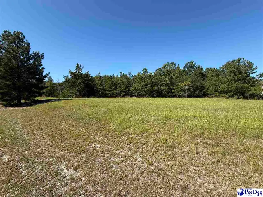 Lot 2 Chesterfield Hwy, Cheraw, SC 29520 - #2