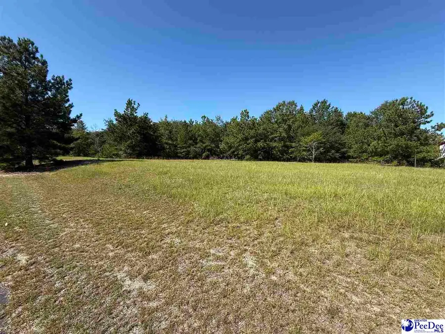 Lot 2 Chesterfield Hwy, Cheraw, SC 29520 - #3