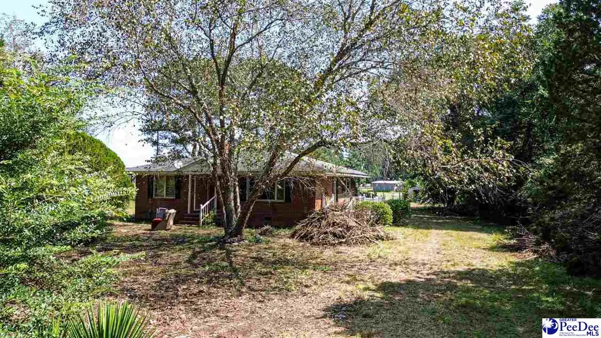 4701 Horace Matthews Rd, Effingham, SC 29541-3601 - #1
