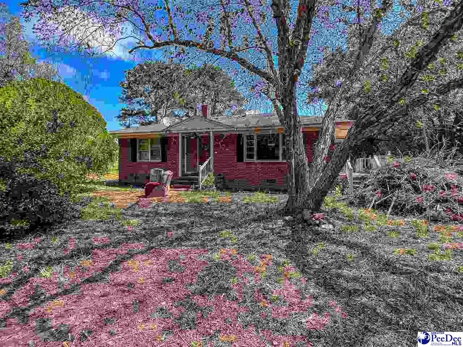 4701 Horace Matthews Rd, Effingham, SC 29541-3601 - #3