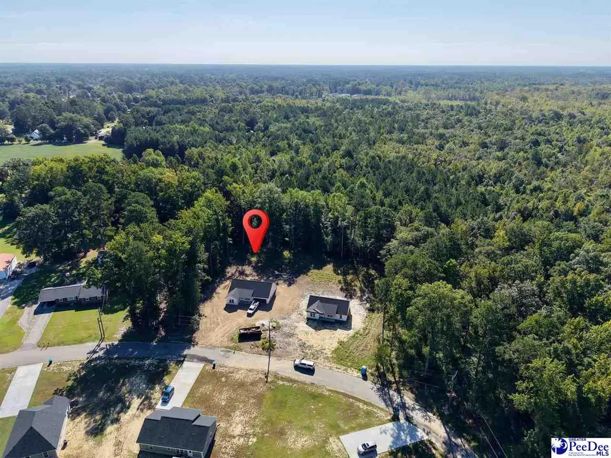620 Forest Acres Dr, Pamplico, SC 29583 - #1