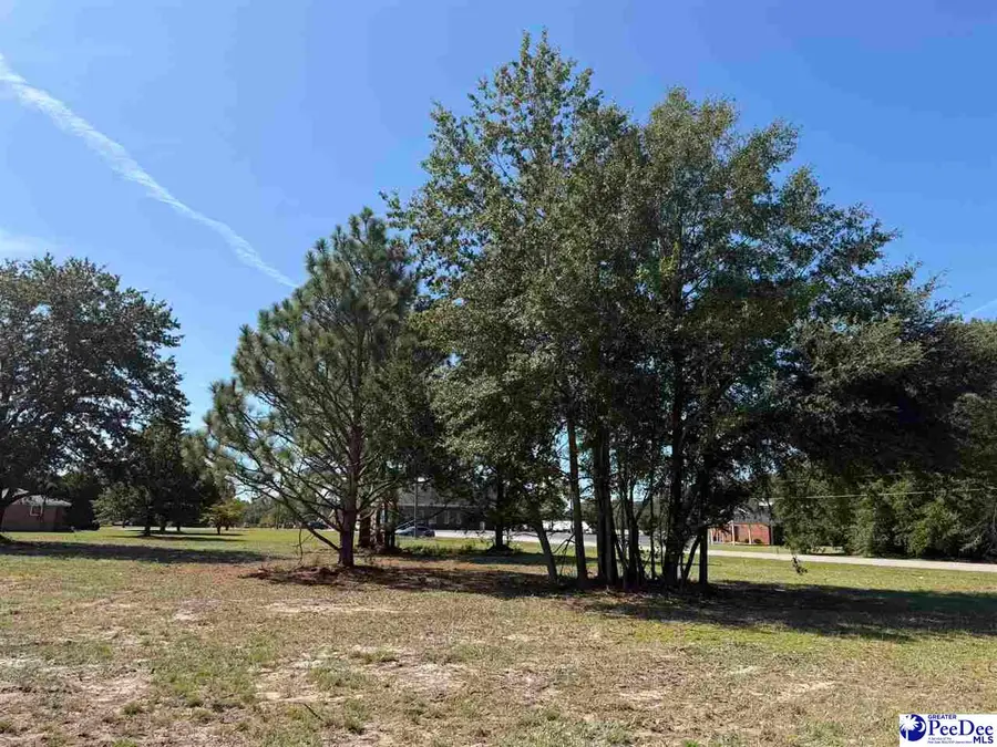 Lot 1 Isaiah Drive, Dillon, SC 29536 - #2