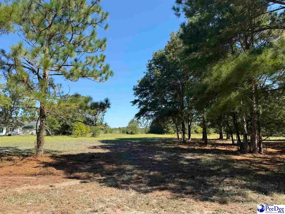 Lot 4 Isaiah Drive, Dillon, SC 29536 - #1