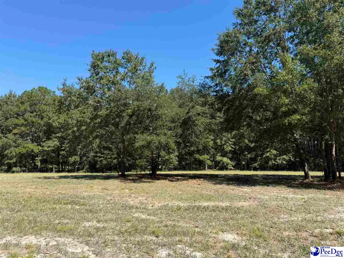 Lot 7 Isaiah Drive, Dillon, SC 29536 - #1