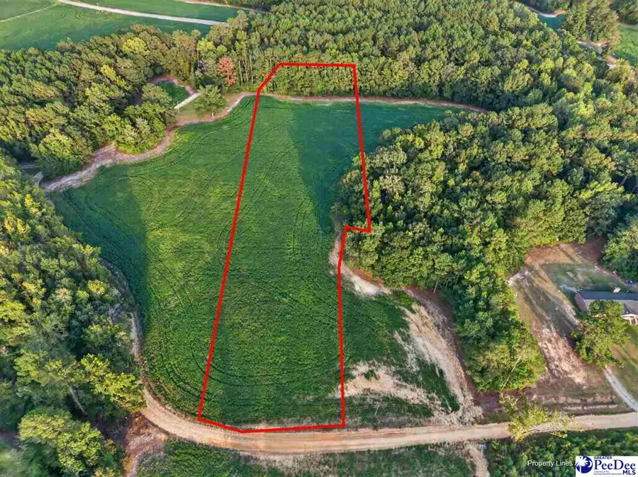 TBD Lum Vereen Rd. (tract-2c), Nichols, SC 29581 - #2