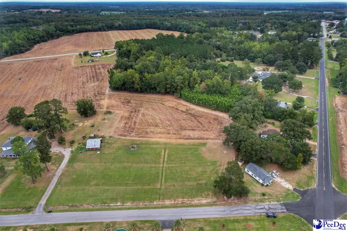 Rogers Drive, Lake View, SC 29563 - #1