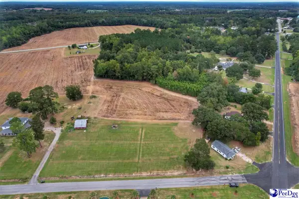 Rogers Drive, Lake View, SC 29563