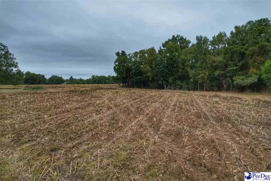 Rogers Drive, Lake View, SC 29563 - #2