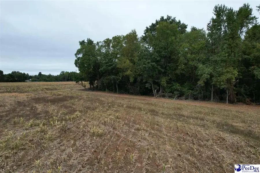 Rogers Drive, Lake View, SC 29563 - #3