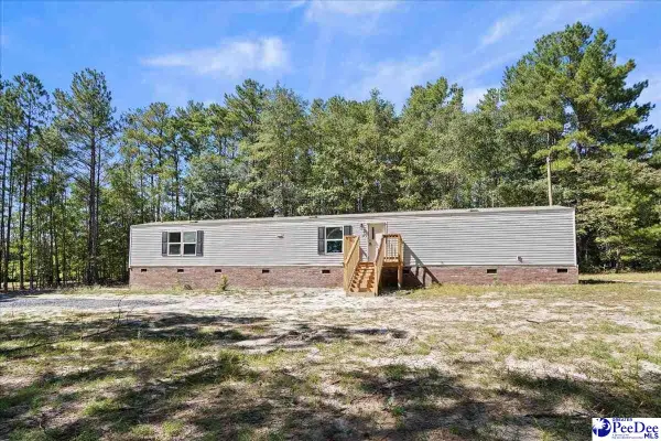 64 Community Road, Chesterfield, SC 29709