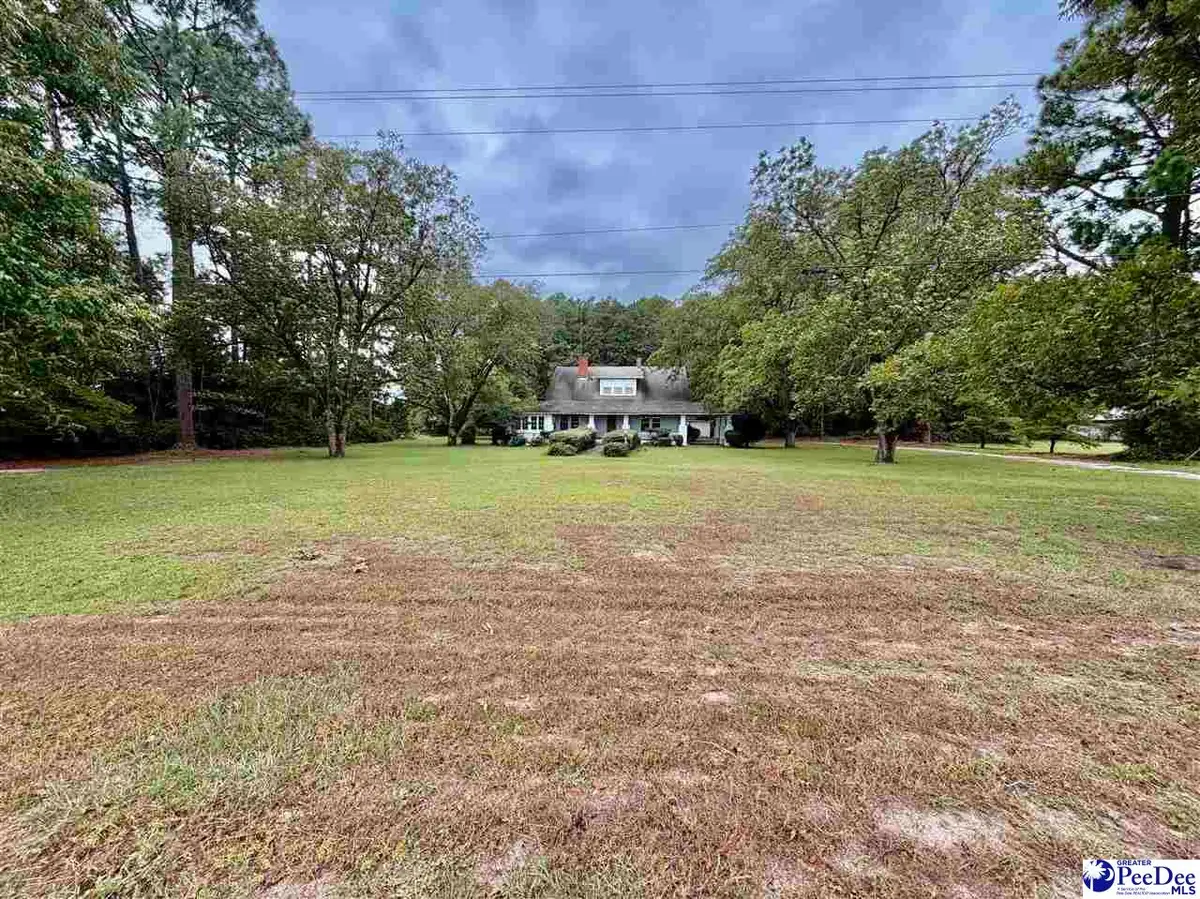 4177 Old State Hwy 38, Blenheim, SC 29516 - #1