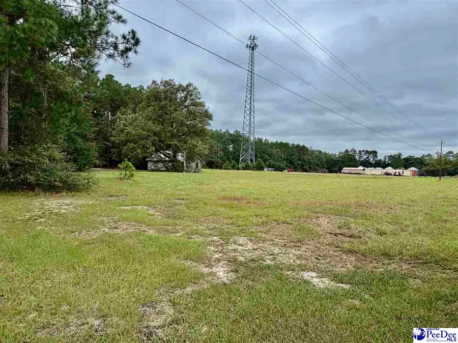 4177 Old State Hwy 38, Blenheim, SC 29516 - #3