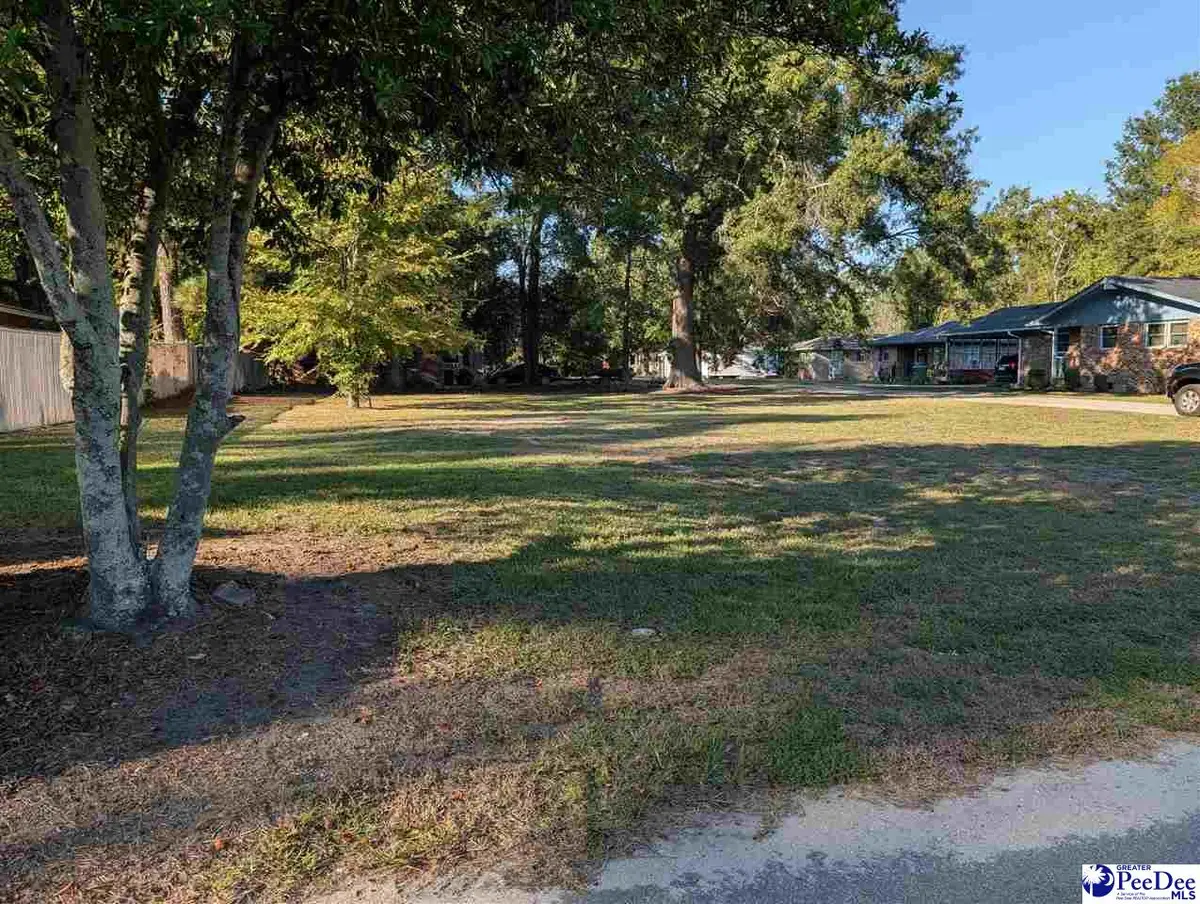 310/ lot 23 King St, Bennettsville, SC 29512-9998 - #1