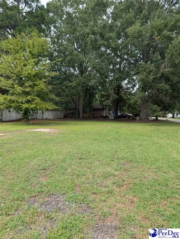 310/ lot 23 King St, Bennettsville, SC 29512-9998 - #3