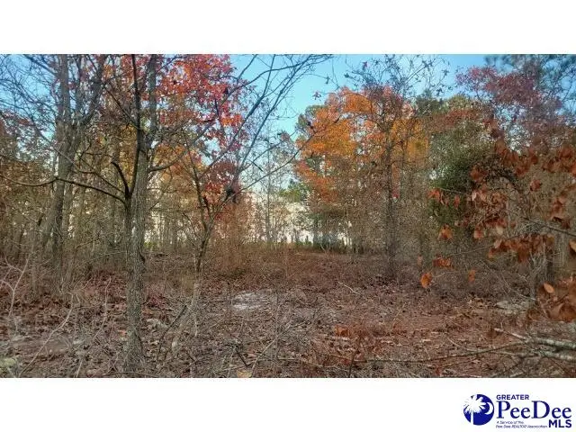 TBD Ousleydale Road, Hartsville, SC 29550 - #3