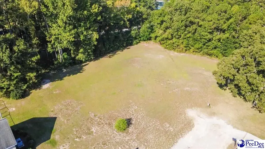 TBD Ivanhoe Place, Hamer, SC 29547 - #2