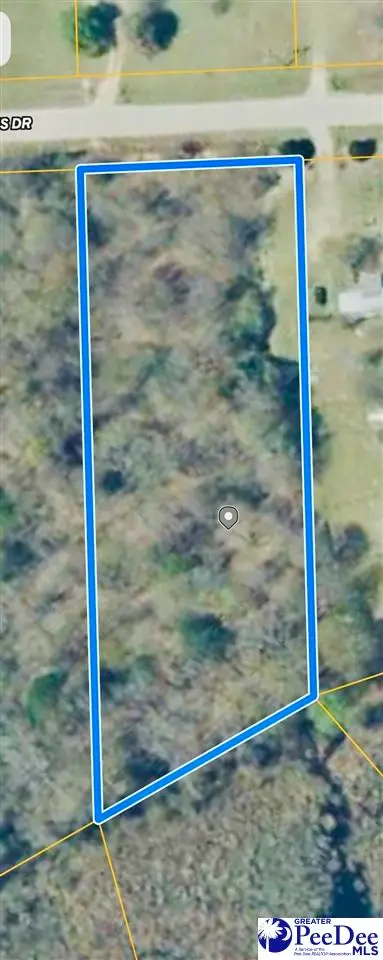 Lot 166 Brangus Lane, Cheraw, SC 29520