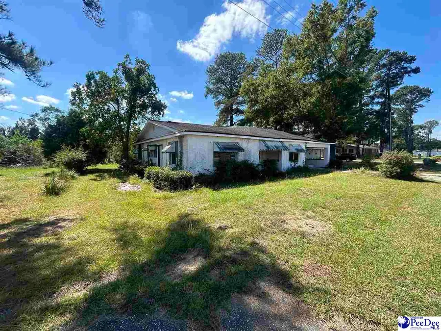 1013 Williams Dr., Darlington, SC 29532-5062 - #3