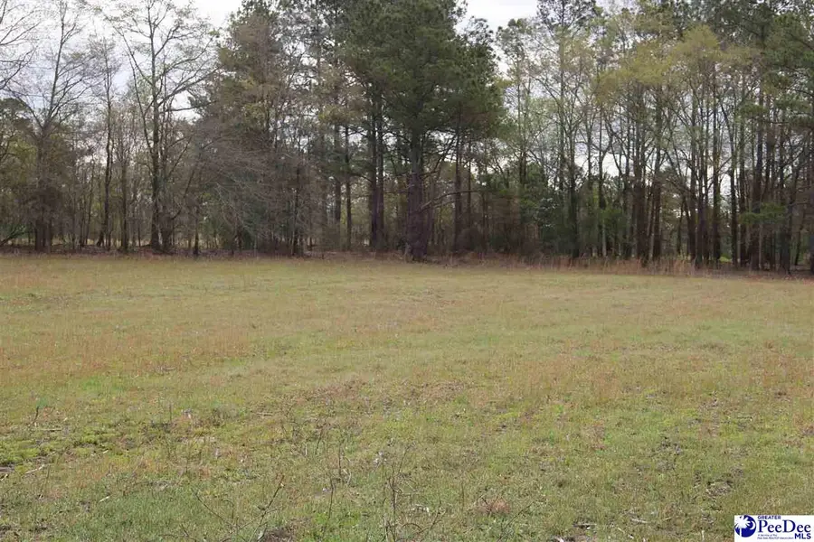 3329 W Bobo Newsome Hwy, Hartsville, SC 29550 - #2
