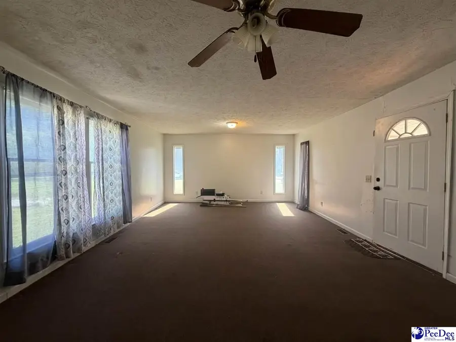 113 Mystic Pine Court, Dillon, SC 29536 - #2