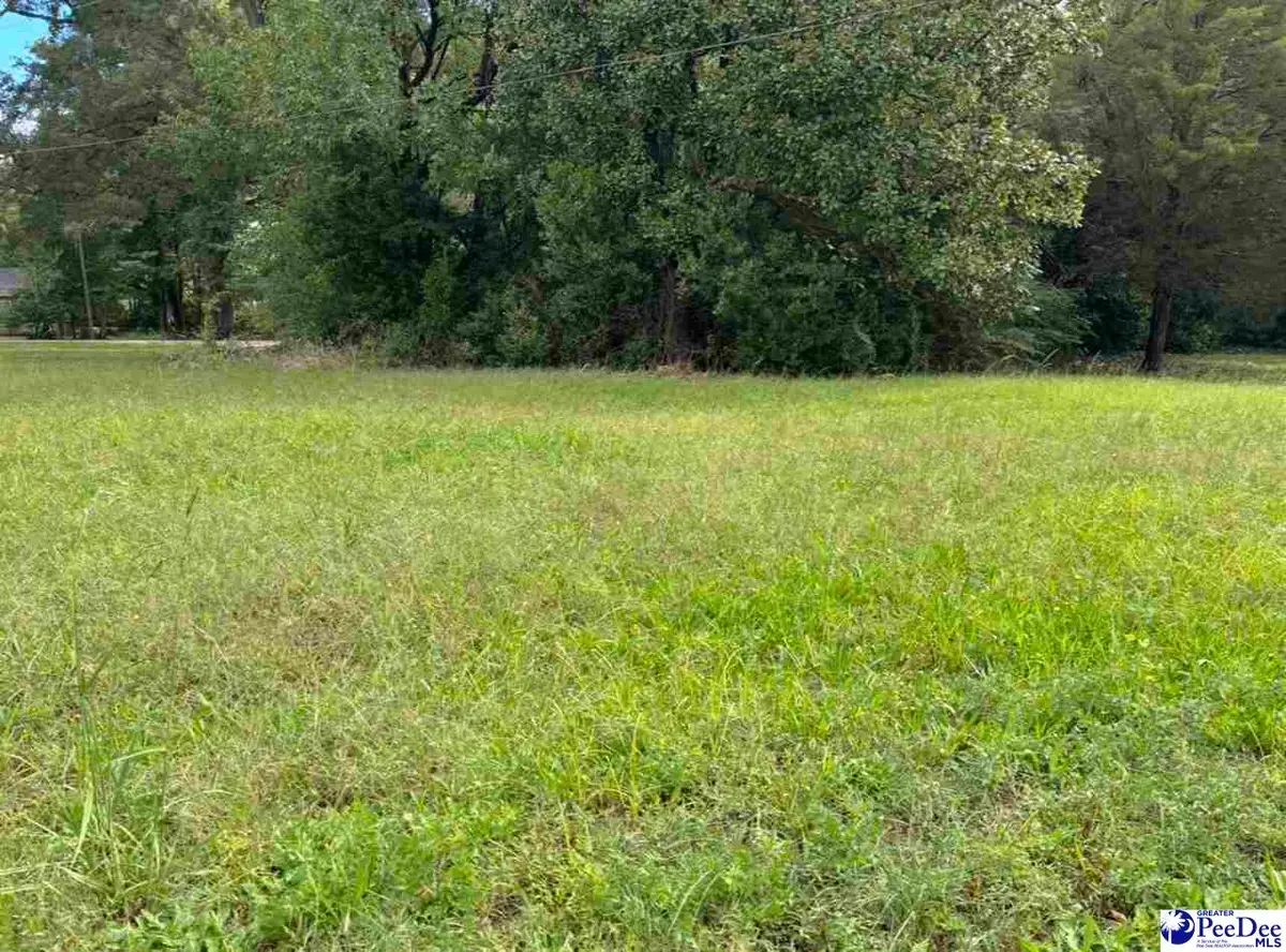 1005 S 6th Street, Hartsville, SC 29550 - #1