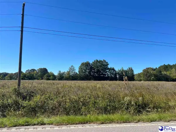 Screwpin Road, Blenheim, SC 29516-6908
