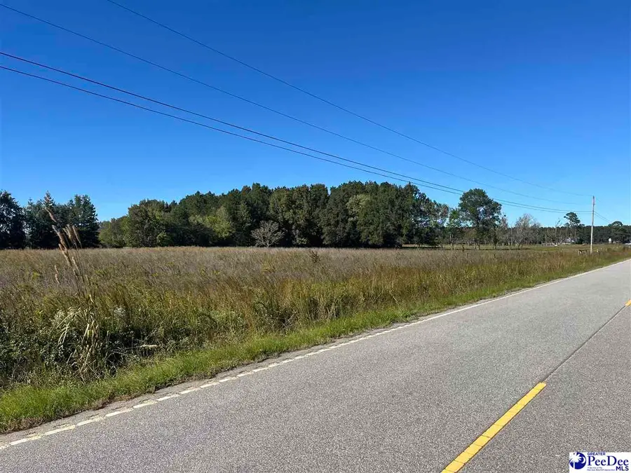 Screwpin Road, Blenheim, SC 29516-6908 - #2