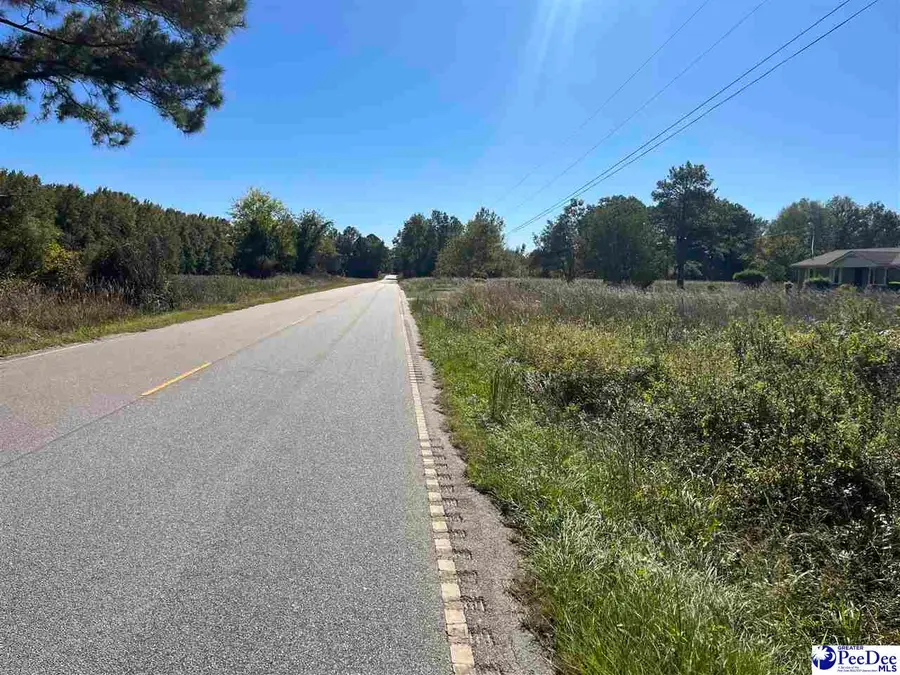 Screwpin Road, Blenheim, SC 29516-6908 - #3