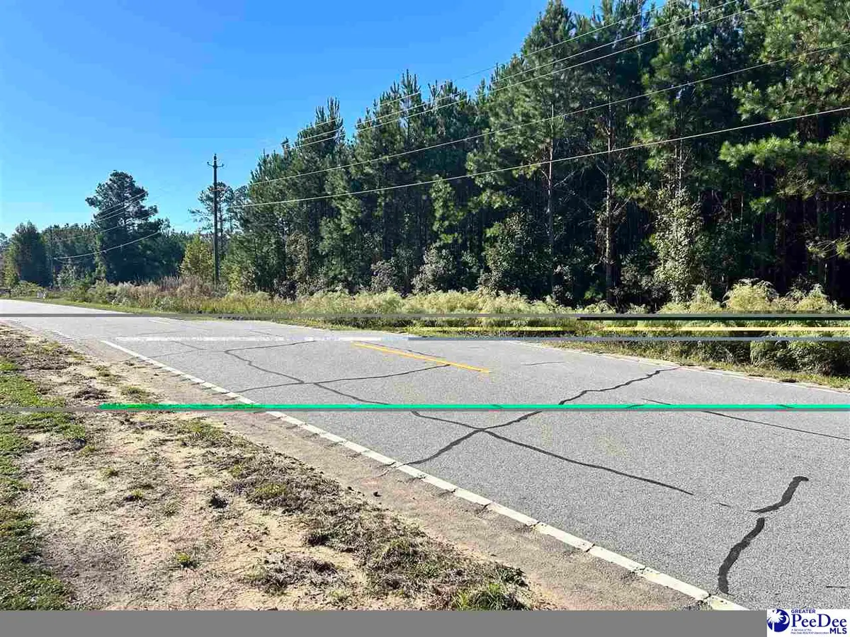 TBD lot 1 New Market Rd, Hartsville, SC 29550-0000 - #1