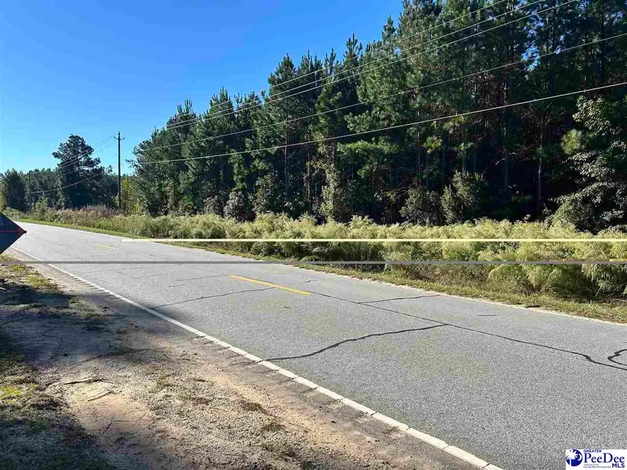 TBD lot 1 New Market Rd, Hartsville, SC 29550-0000 - #3