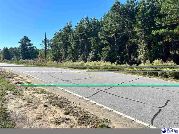TBD lot 2 New Market Rd, Hartsville, SC 29550-0000