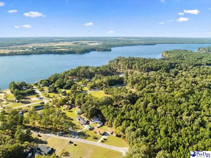 1746 Hillview Drive, Hartsville, SC 29550 - #3