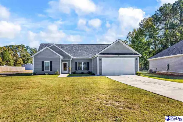 6352 Stagecoach Road, Effingham, SC 29541