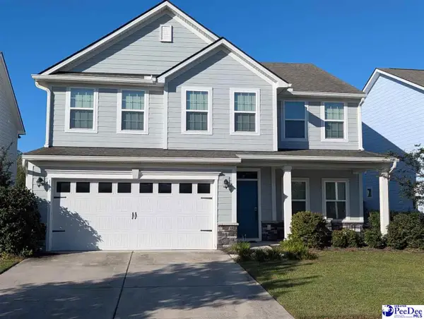 113 Corvus St, Summerville, SC 29483