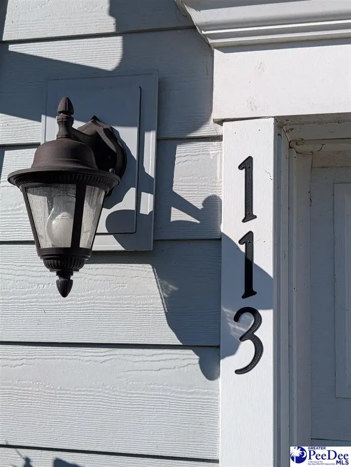 113 Corvus St, Summerville, SC 29483 - #2